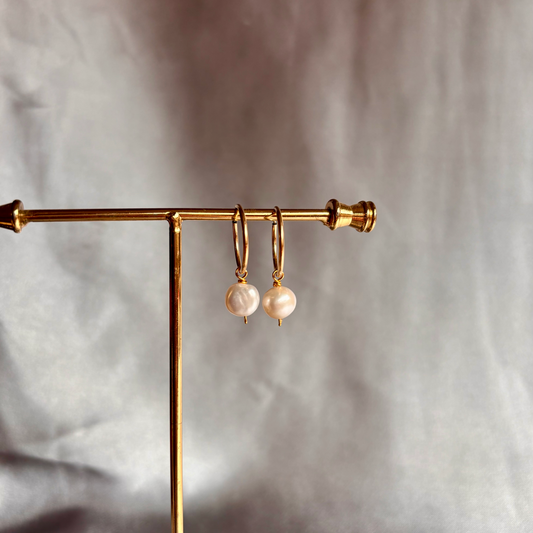 Margot Hoops